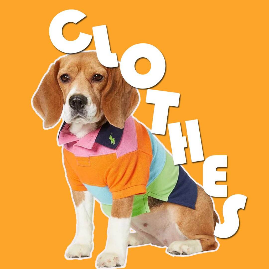 Clothing
